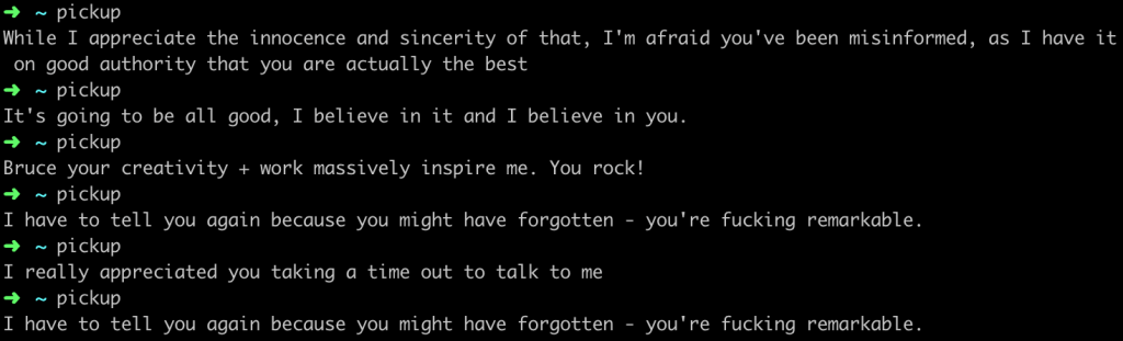 Screenshot from terminal. By typing the word "pickup", a random quote is returned. The quotes in the example are:
"While I appreciate the innocence and sincerity of that, I'm afraid you've been misinformed, as I have it on good authority that you are actually the best";
"It's going to be all good, I believe in it and I believe in you.";
"Bruce your creativity + work massively inspire me. You rock!";
"I have to tell you again because you might have forgotten - you're fucking remarkable."; and
"I really appreciated you taking a time out to talk to me".